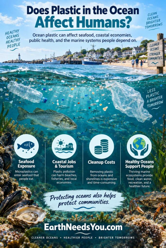 Does Plastic in the Ocean Affect Humans