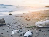 Plastic Pollution Facts